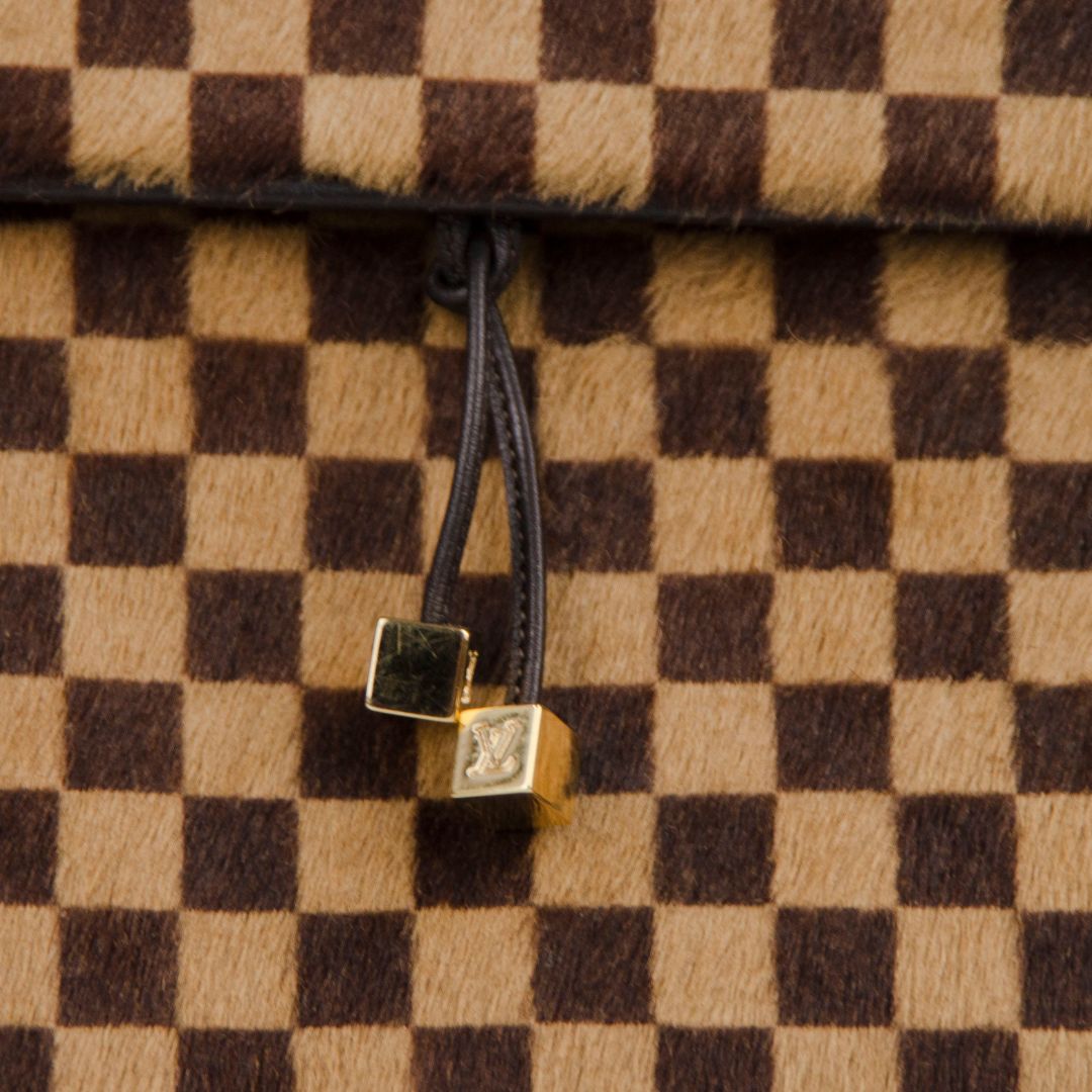 Louis Vuitton Damier Sauvage Lionne